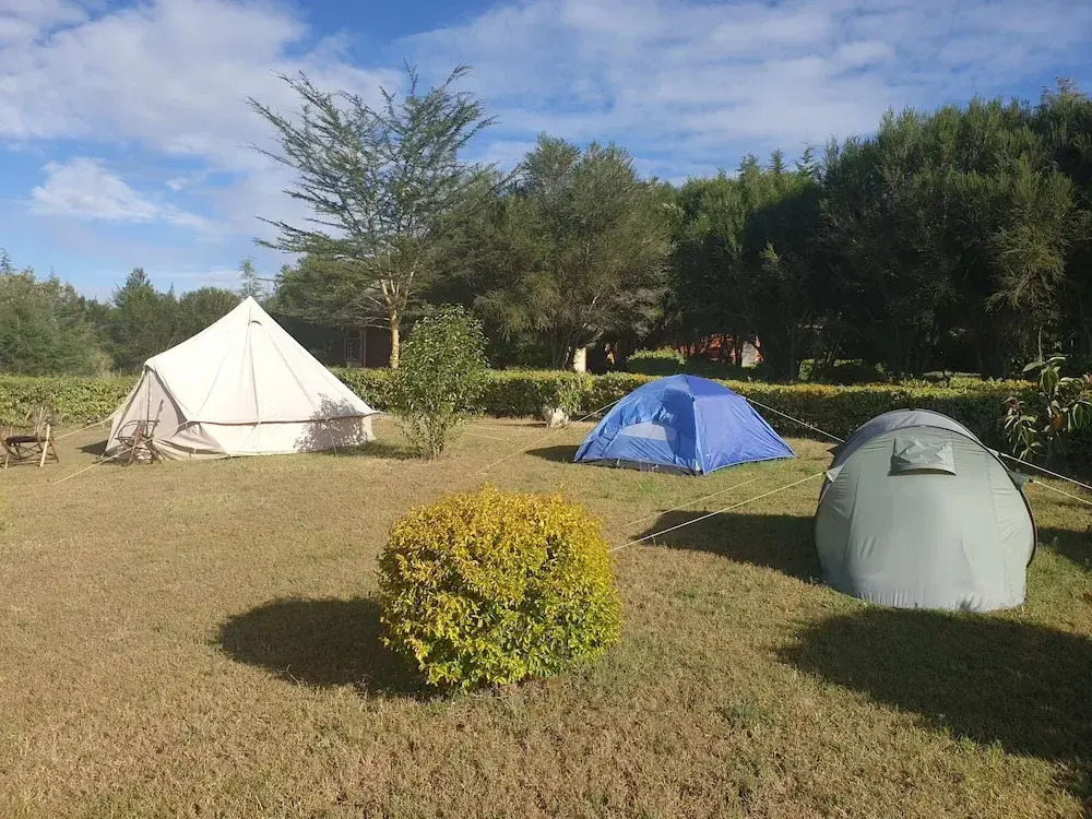 Great Circle Camping and Game Drives