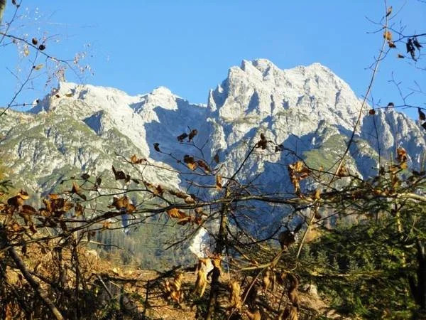 Gasthof Brentwirt