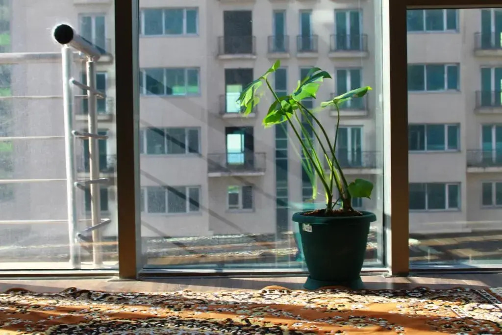 Three-Bedroom Apartment in Batumi, near the Black Sea