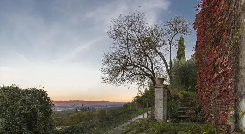 Tenuta Il Verone