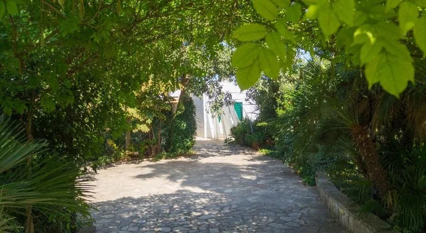 Kalinifta - Io parto Io arrivo