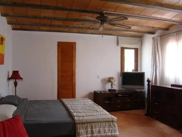 La Palmera Ibiza