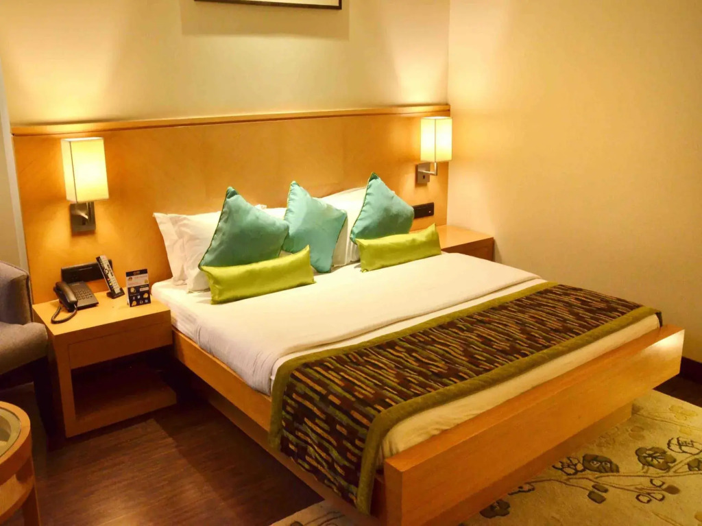 Hotel Balwas International