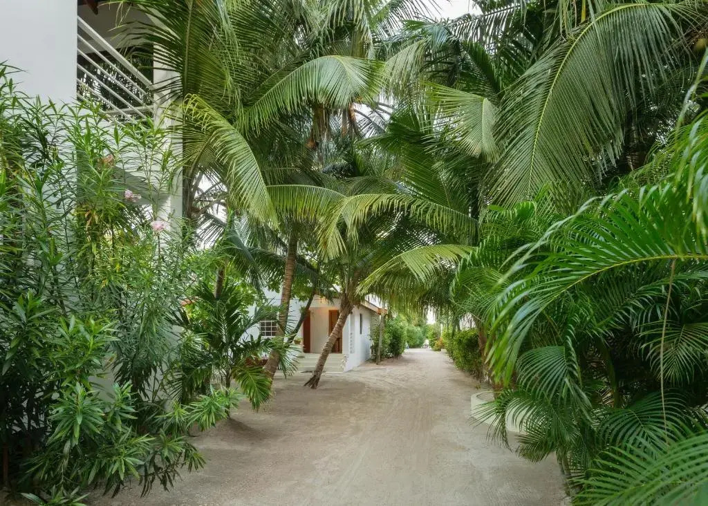 Weezies Ocean Front Hotel and Garden Cottages