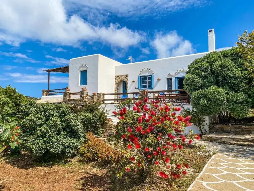 Cozy Sea View House