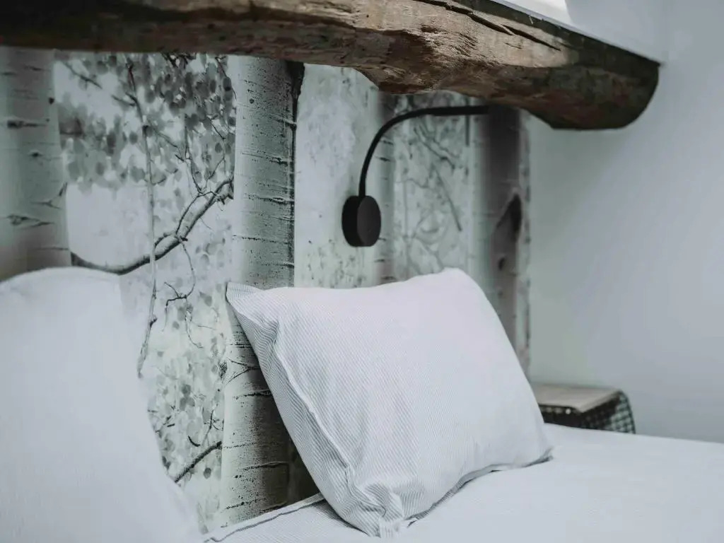 Wooden Soul : duplex 2 chambres avec jardin commun