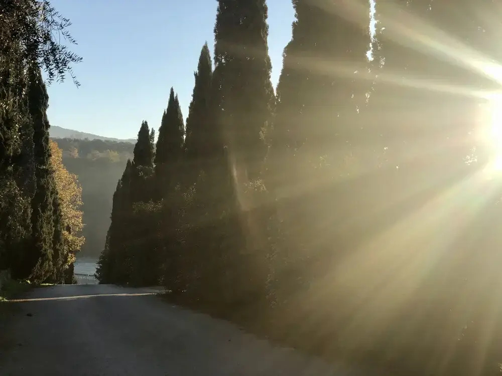 Agriturismo Terre di Leonardo