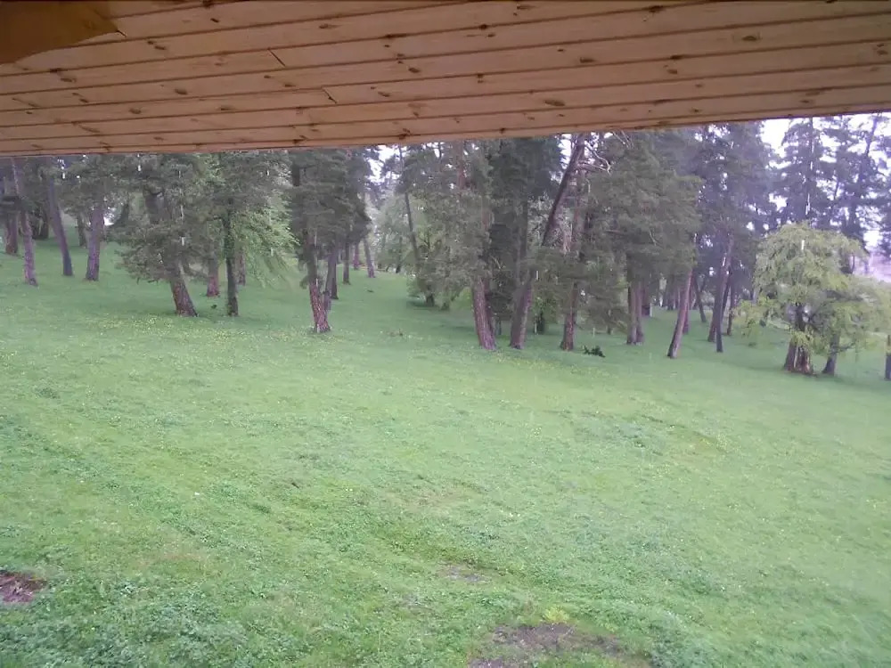 kotteje bakuriani