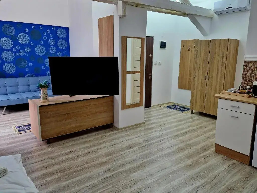 ORI Blue Studio Malul Muresului