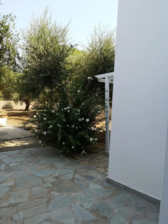 Villa Leonidas
