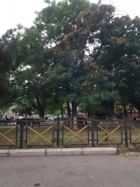 Isani Panorama