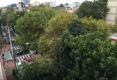 2 Beds 2 Baths Rooms Condesa