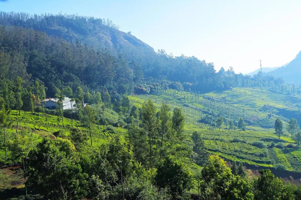 Logan Camp Ooty