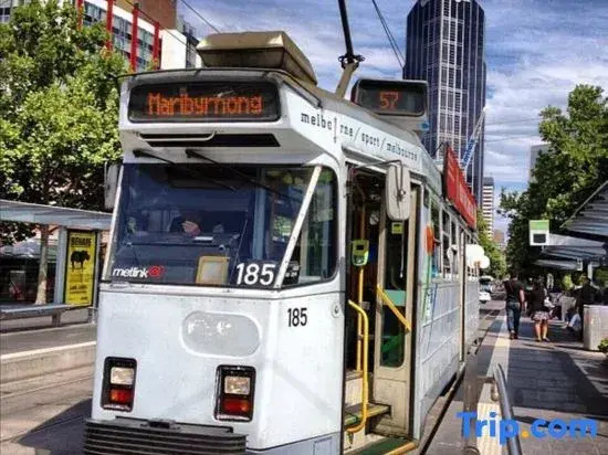 Swanston Central 3B Lv53 CBD Skyline View FreeTram