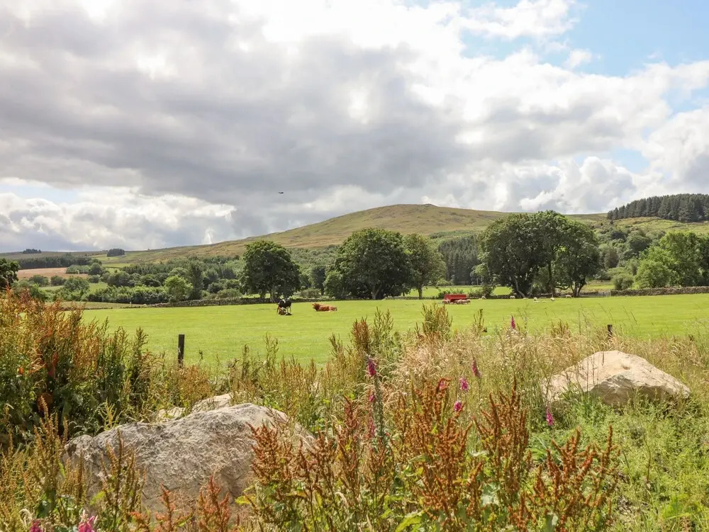 Plas Iolyn