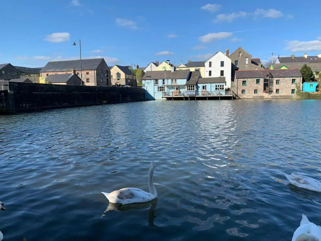 Mill Pond View