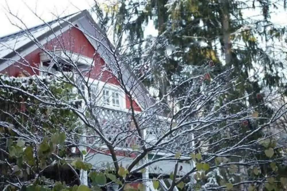 Brook Falls Farm
