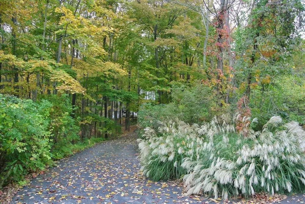 Lush Designer Retreat on Pond Near Rhinebeck