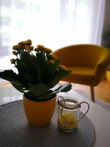 Apartment Ali