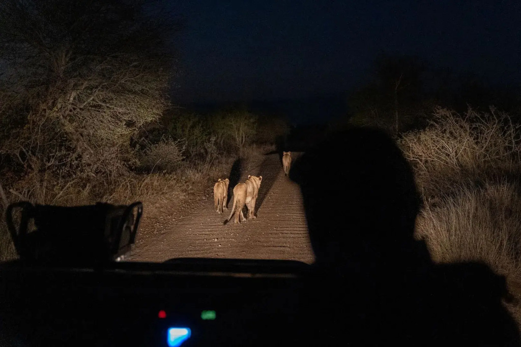 Amani Safari Camp