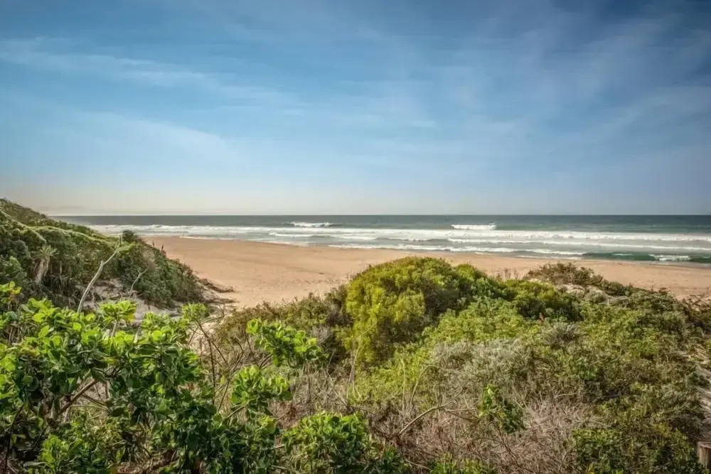 Seaview Luxury