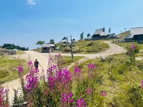 Velika Planina Koča Kekec