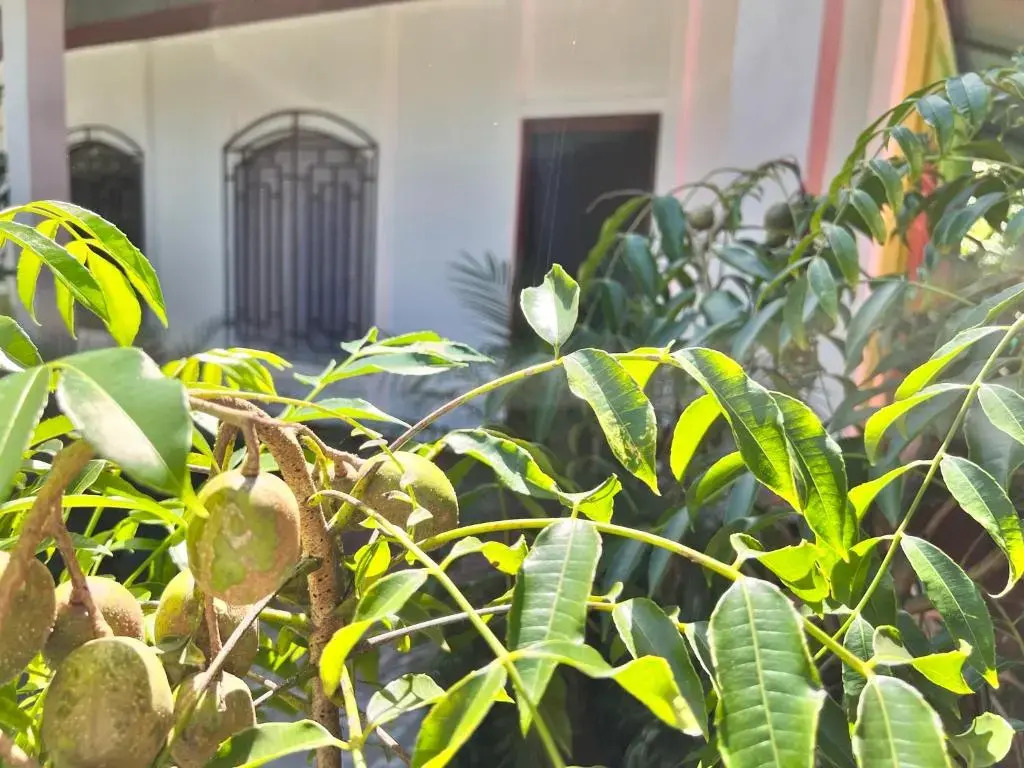Natural Experience House