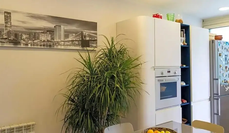 Albatros rooms