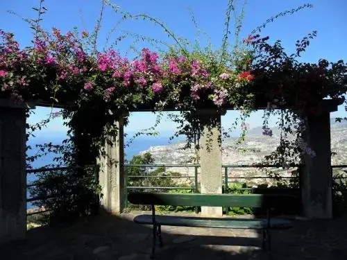 Bay View Apartment