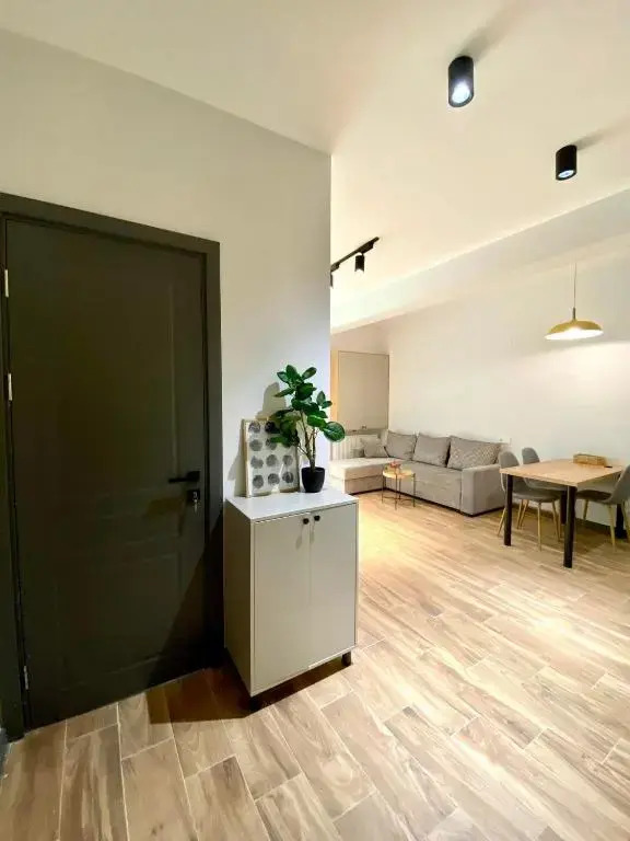 Snow Forest Bakuriani Apartment 10