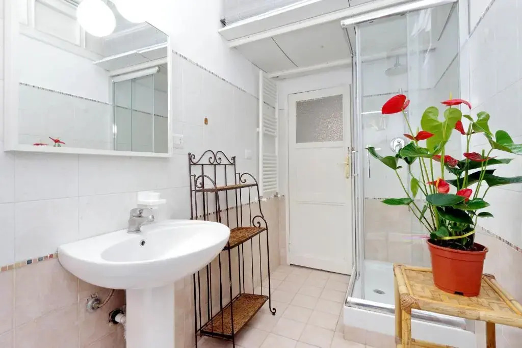 Large flat 30min Colosseo