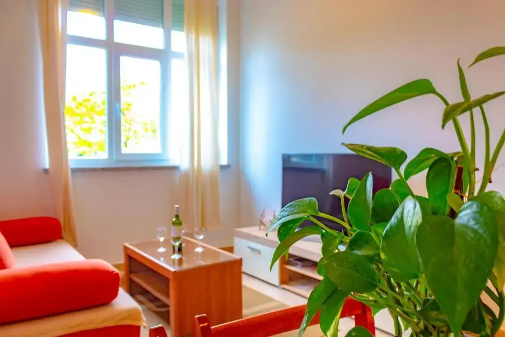 Apartment Botic