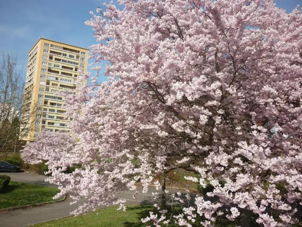 L'Orée du Parc à Belfort