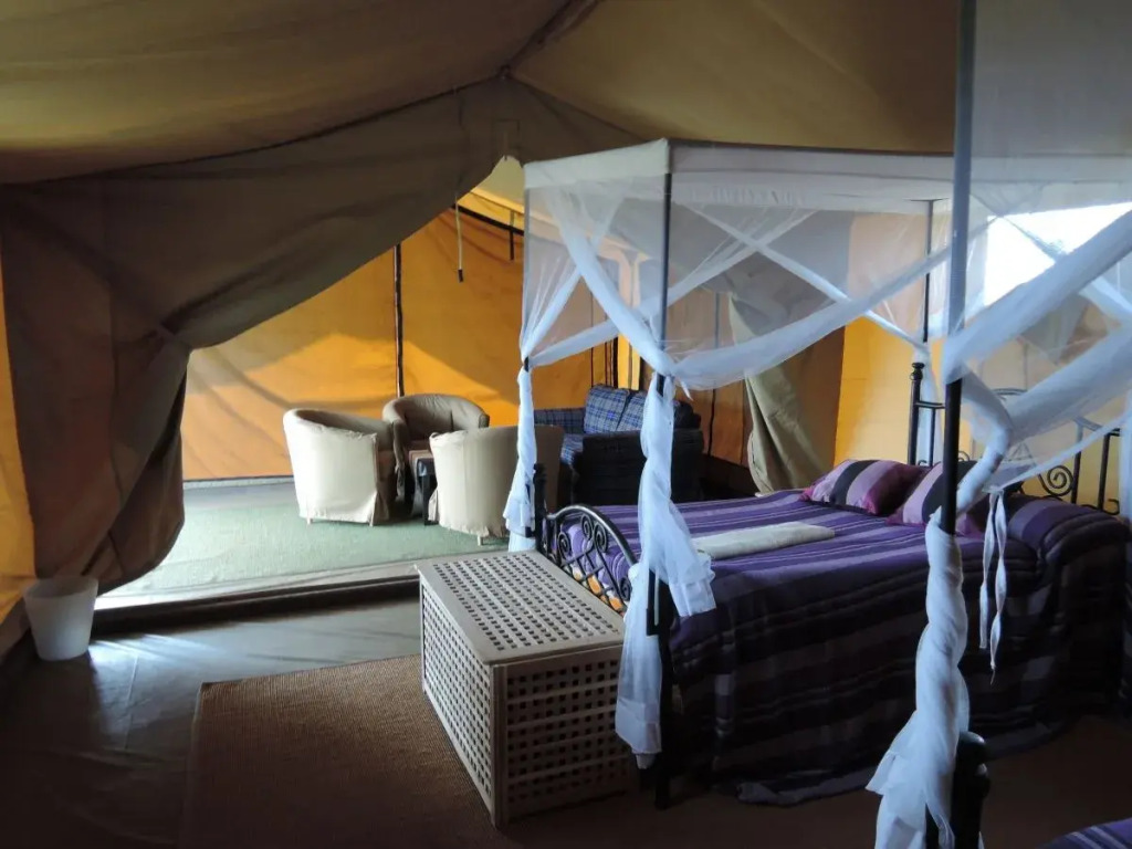 Serengeti Ikoma Wild Camp