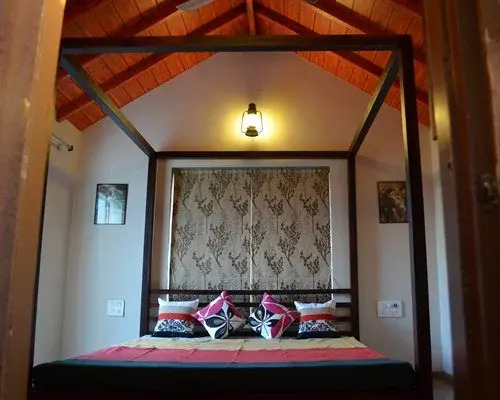 Lion's Den Gir