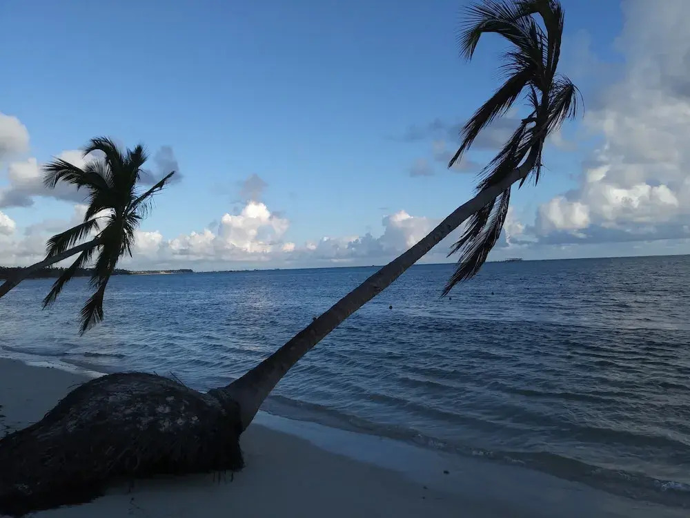 Private Room in Bibijagua Beach