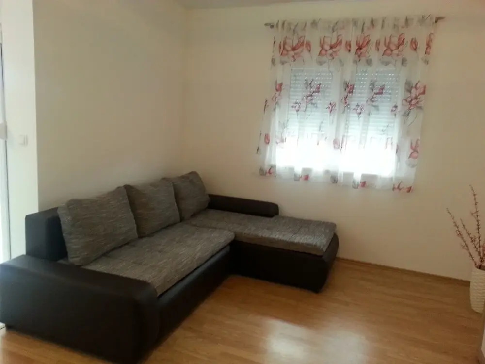 Apartment Branko