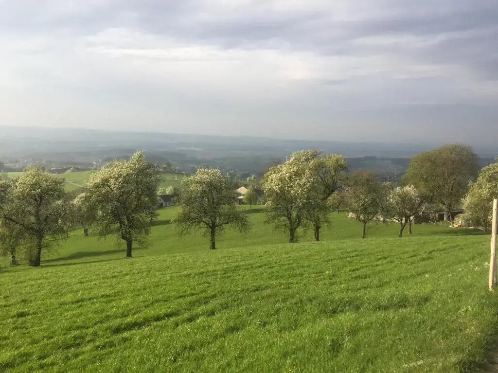 Ferienwohnungen Kössl