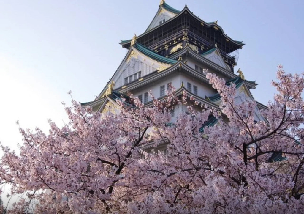 YADOKARI 难波旅舍(Yadokari Namba Hostel)