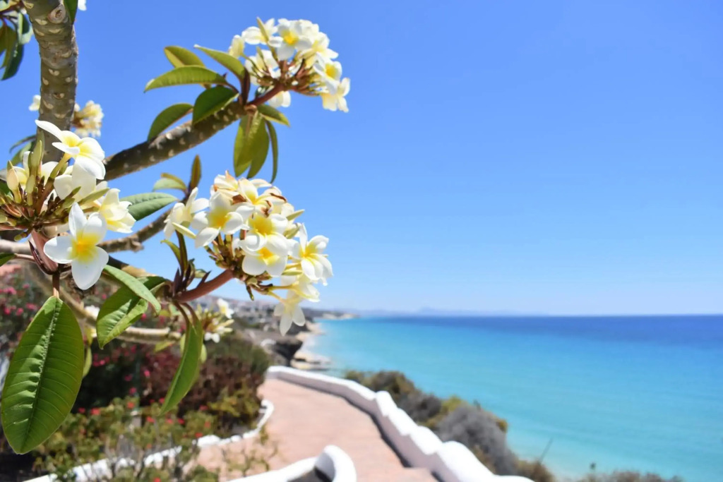 Aldiana Club Fuerteventura