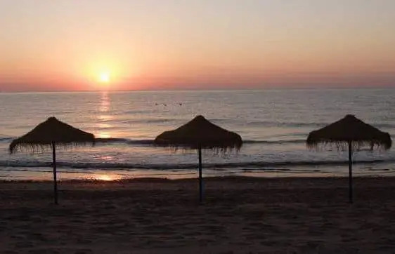 Sidi Saler