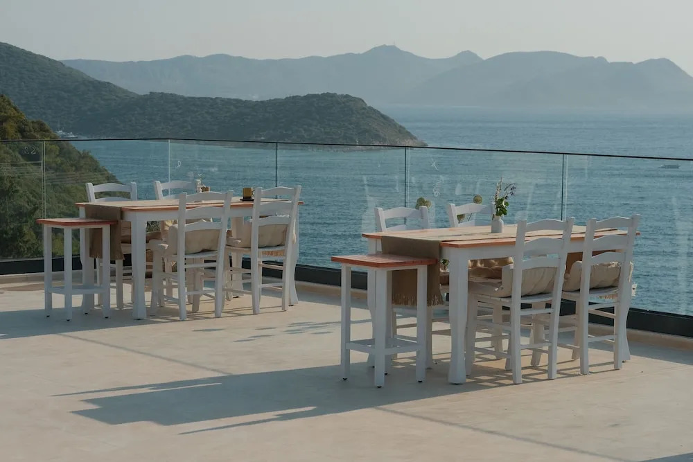 Kaktus Suites