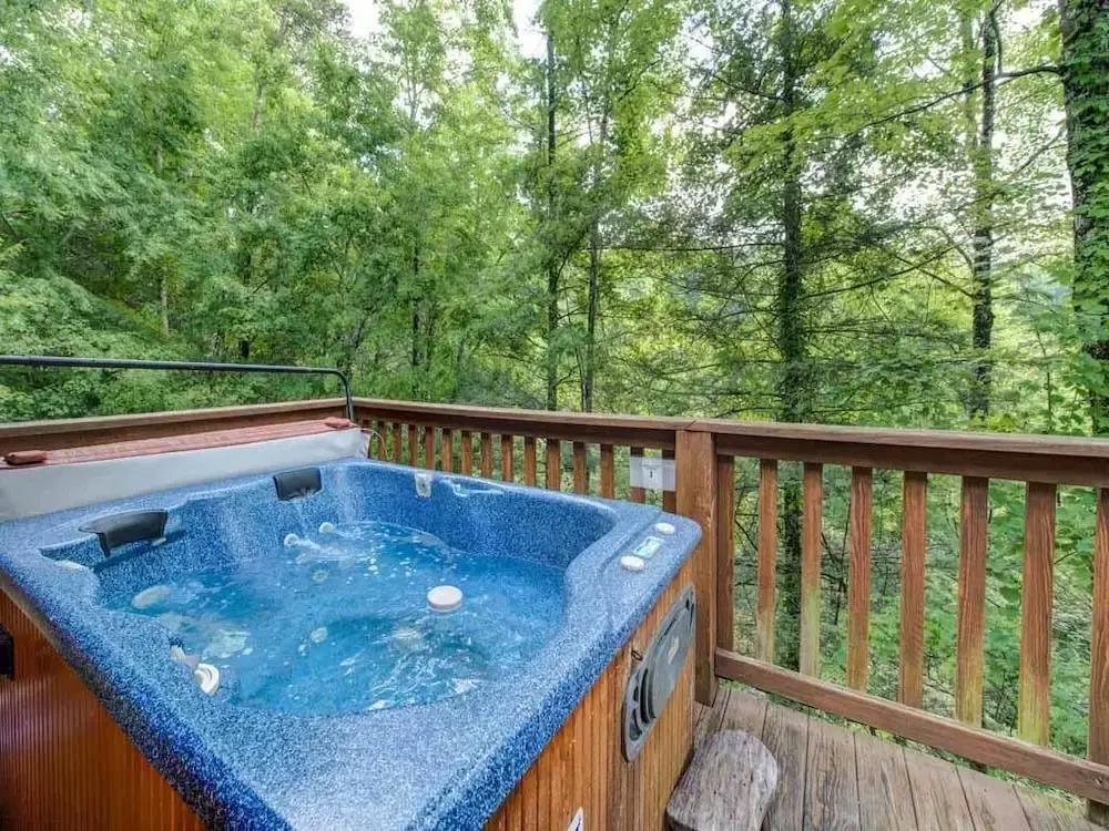 Peace of Mind 1 Bedroom Mountain View Home with Hot Tub