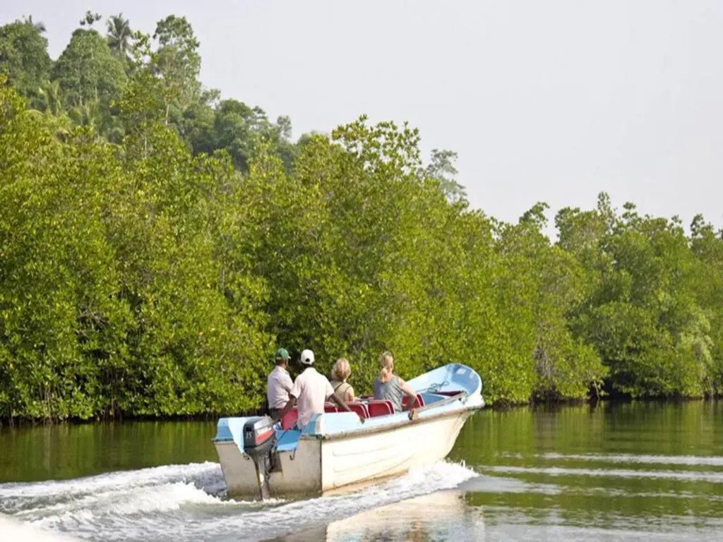 Pelli Riverine