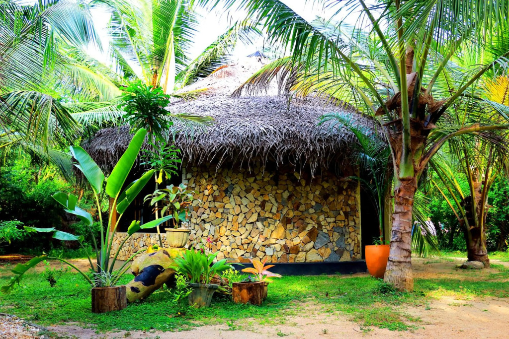 Turtle Watch Cabana
