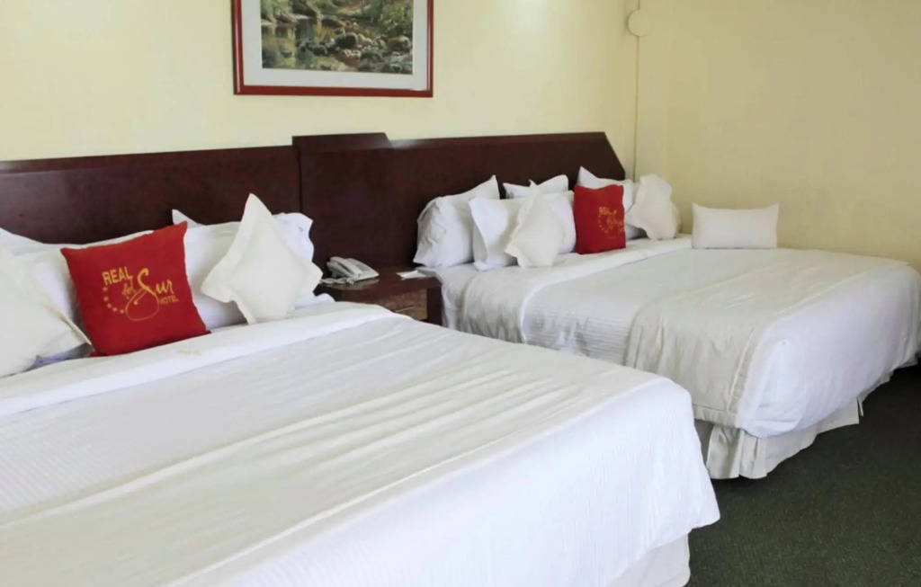 Hotel Real del Sur