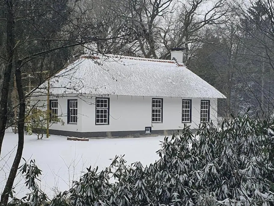 Midden in de Friese bossen op landgoed Princenhof
