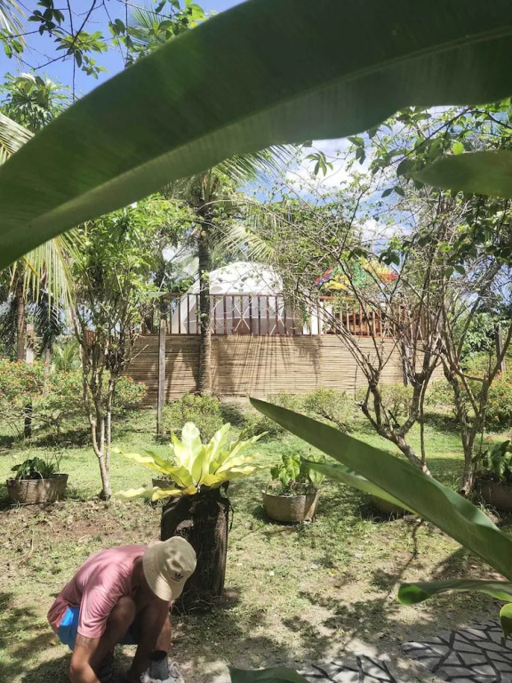 Eco-Treehouse Glamping Services