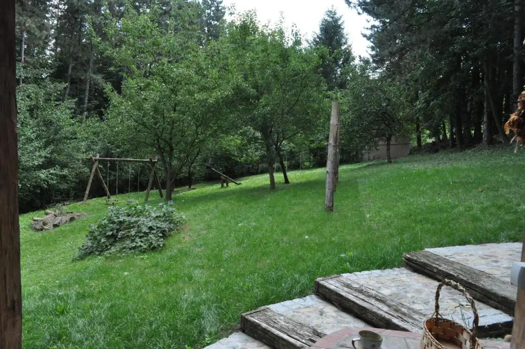 Apartments Borove Noci