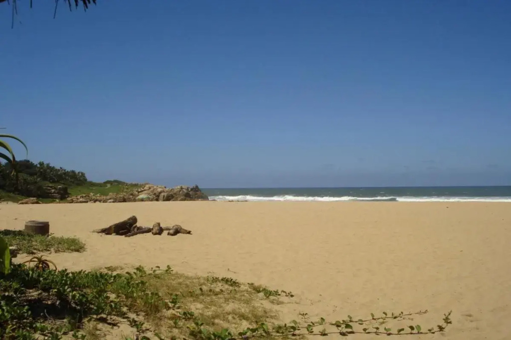 Mare Vista 8